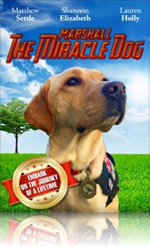 Marshall the miracle dog